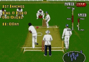 Play Brian Lara Cricket Online