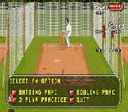 Play Brian Lara Cricket ’96 Online