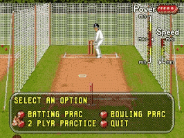 Play Brian Lara Cricket ’96 Online