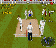 Play Brian Lara Cricket 96 (April 1996) Online