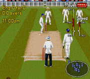 brian lara cricket sega game famous