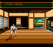 Play Budokan – The Martial Spirit Online