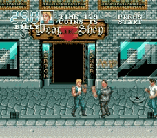 Play Double Dragon 3 Online