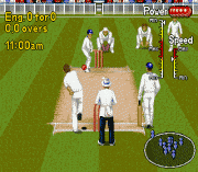 Play Shane Warne Cricket Online