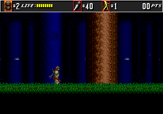 Play The Super Shinobi II (Earlier) Online