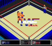 Play Thunder Pro Wrestling Retsuden Online