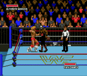 Play WWF Super Wrestlemania Online